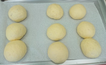 二次発酵したパン生地の様子